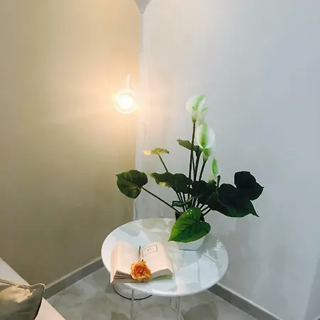 Queen Chic Appartement